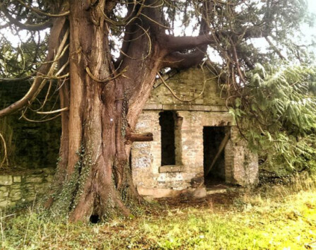 abandoned-house-image