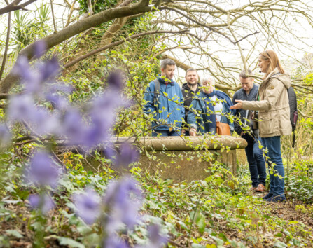 Sligo Walking Tours Private Tours